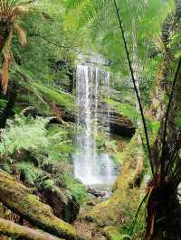 Mount Field National Park