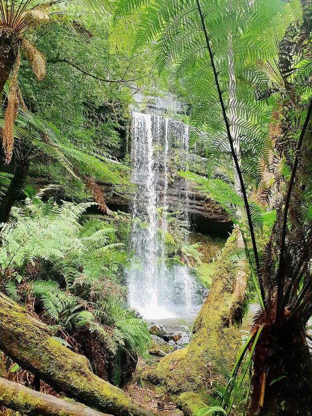 Mount Field National Park