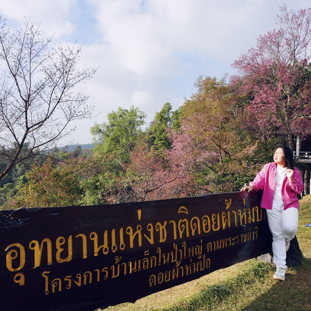 🌸 พญาเสือโคร่ง โครงการบ้านเล็กในป่าใหญ่