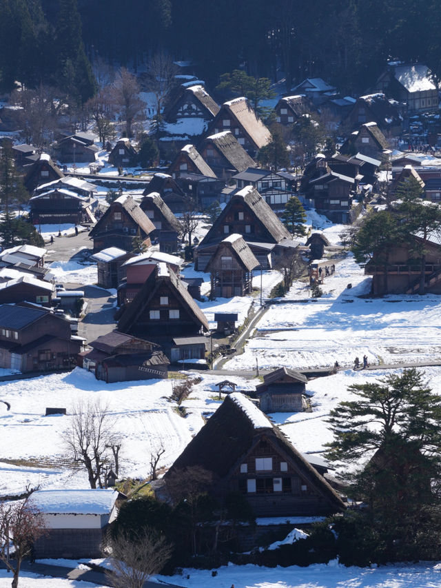 【飛騨高山×白川郷】世界遺産白川郷合掌集落が一望できるスポット