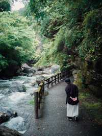 高知・中津渓谷県立自然公園🌿自然が織りなす癒しの絶景