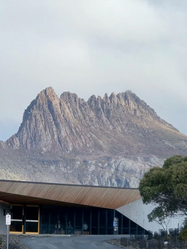 Immersed in Nature: My Scenic Adventure on the Dove Lake Circuit Walk