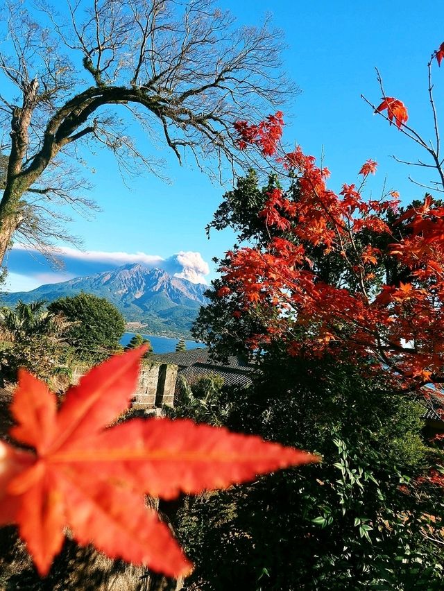 鹿兒島世界文化遺產日本庭園「仙巌園」