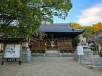 Oyama Ryokuchi Park大山緑地 ไหว้ศาลเจ้าขอพร