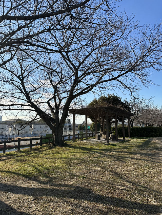 📍多摩川河川敷/東京