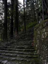  A Journey to Sacred Serenity: My Adventure to Kumano-Nachi Grand Shrine