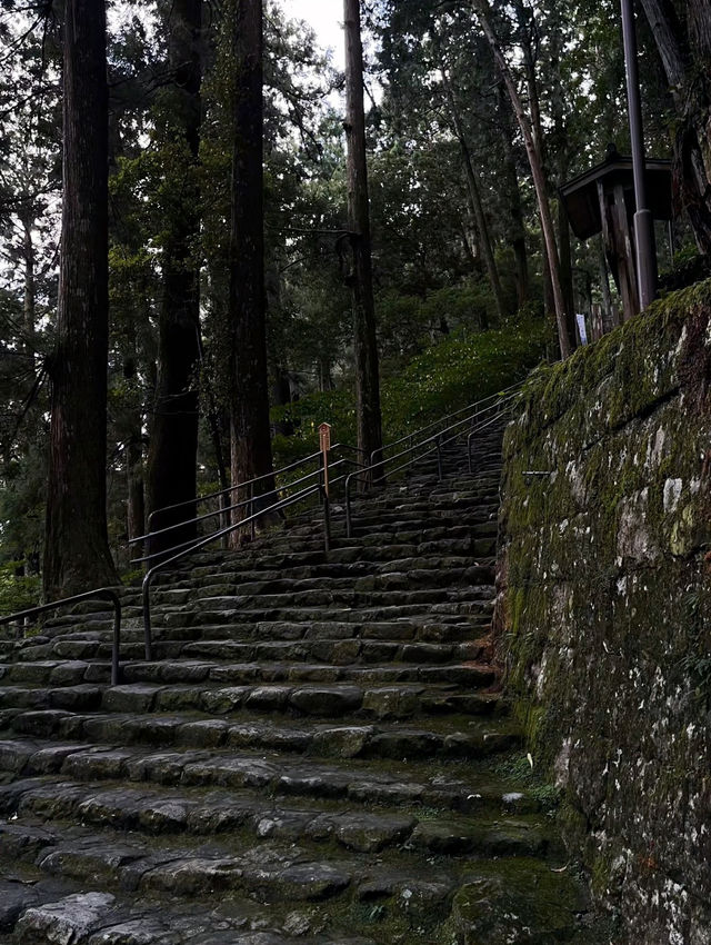 A Journey to Sacred Serenity: My Adventure to Kumano-Nachi Grand Shrine