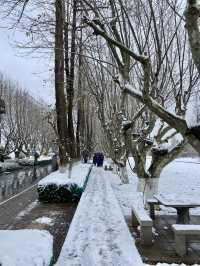 🥰☃️白雪浪漫～昆明滇池必去海埂公園🕊️🌊