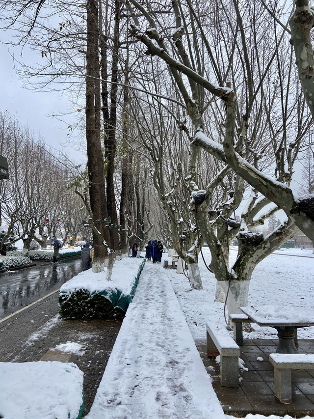 🥰☃️白雪浪漫～昆明滇池必去海埂公園🕊️🌊