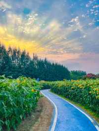 บ้านไร่นายรุ่ง | กาญจนบุรี 🌻