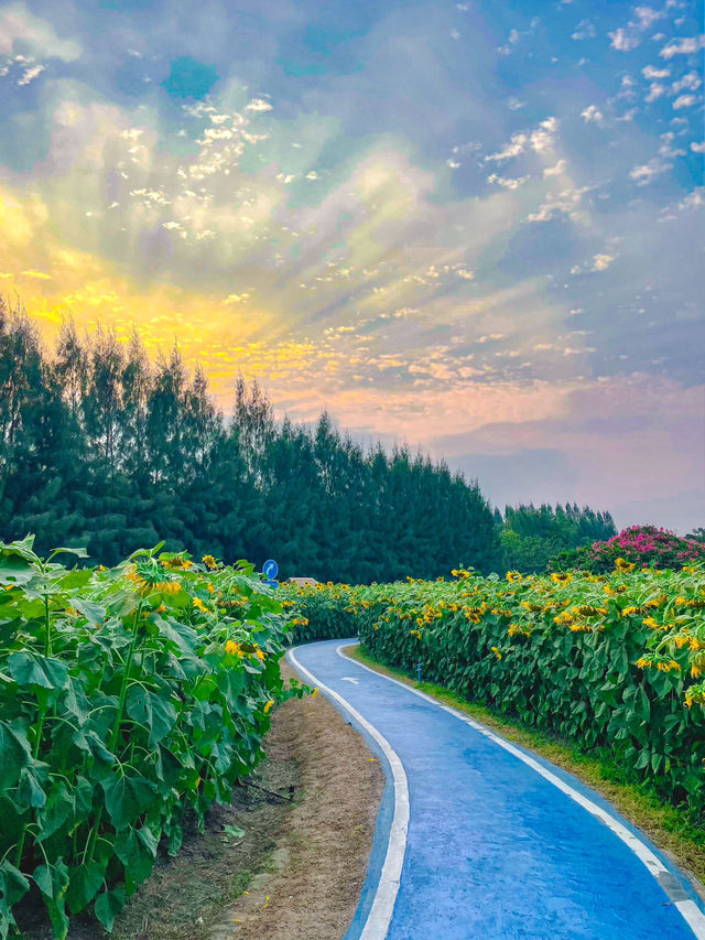 บ้านไร่นายรุ่ง | กาญจนบุรี 🌻