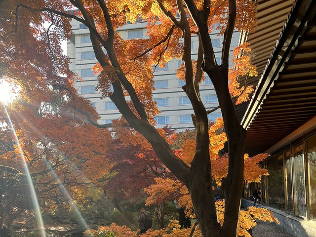 函館湯之川溫泉飯店