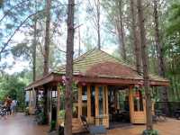 cedar ป่าสนคาเฟ่ @ เขาค้อ