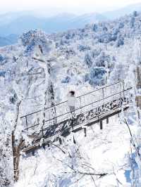 눈덮인 겨울 발왕산의 아름다운 설경❄️🤍