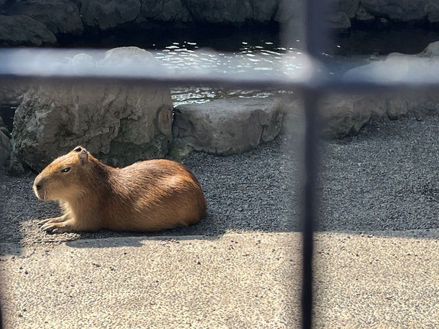 淨園農場