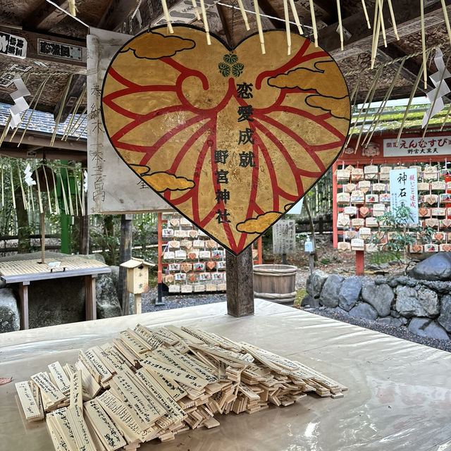 🇯🇵【京都】パワースポット！野宮神社！良縁、子宝、学問の神様♪(^^)