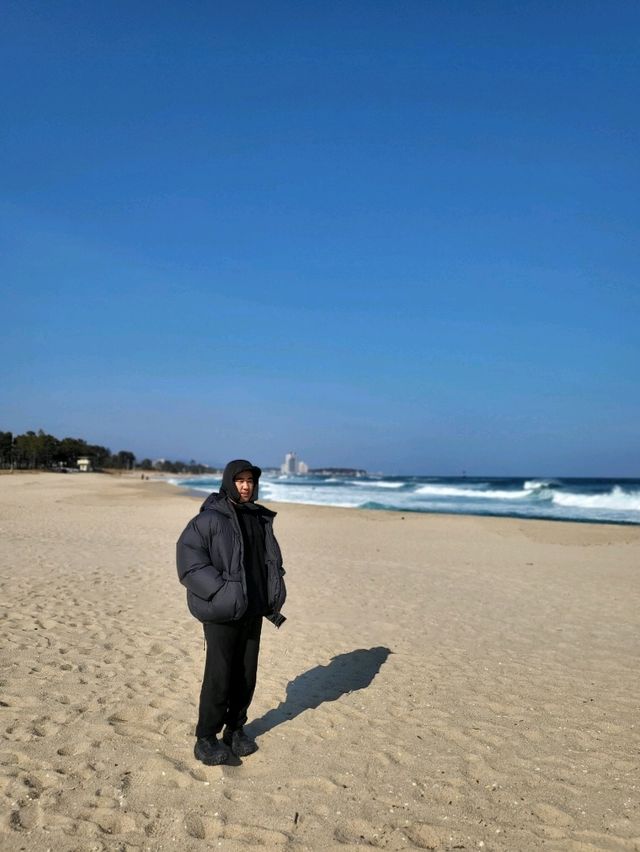 겨울바다의 매력에 반하는 강릉 사근진해변