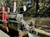 Puffing Billy 🚂 : 🇦🇺 Australia’s Iconic Steam Railway 