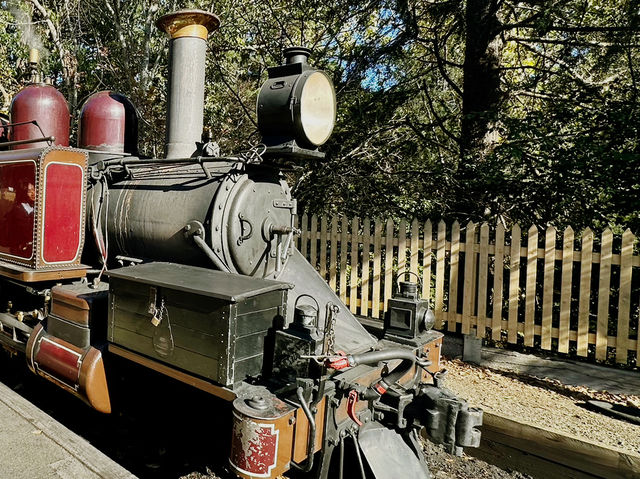 Puffing Billy 🚂 : 🇦🇺 Australia’s Iconic Steam Railway 