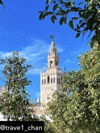 【スペイン🇪🇸セビーリャ、セビリア】オレンジと青空と歴史の美しさ