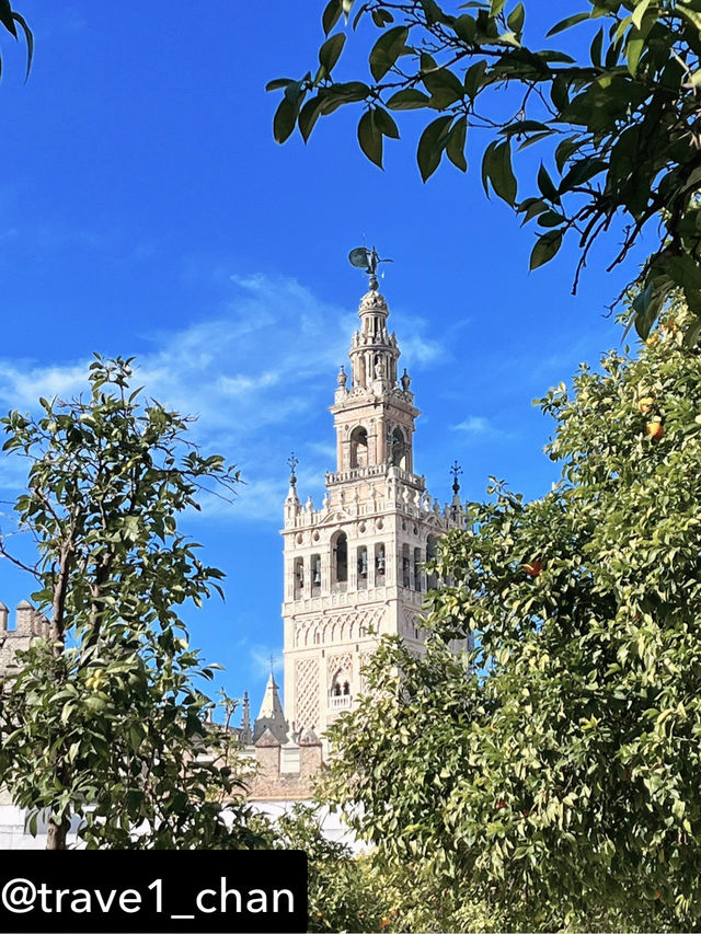 【スペイン🇪🇸セビーリャ、セビリア】オレンジと青空と歴史の美しさ