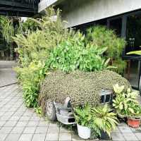 Nest Coffee & Donuts, Yogyakarta