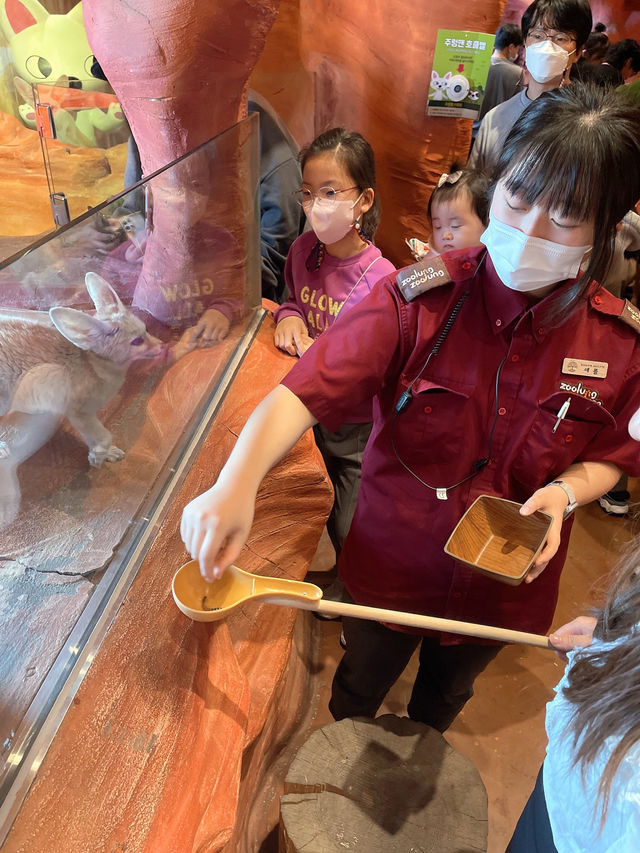 首爾親子家庭遊｜過千種動物的室內動物園｜水豚