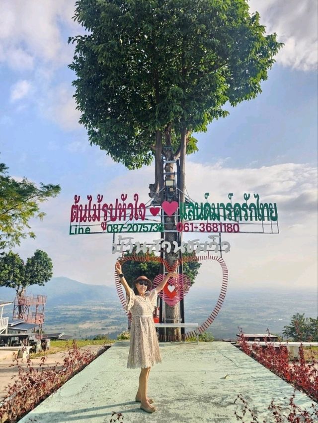 ต้นไม้รูปหัวใจ จังหวัดพิษณุโลก