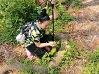 ภูกระดึง  ช่วงเดือนเมษายน