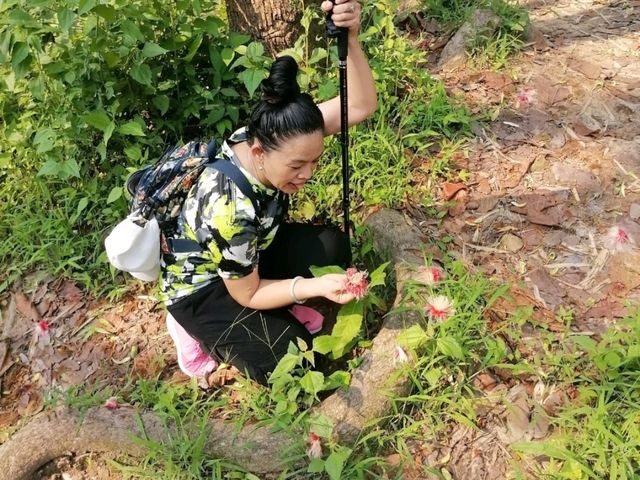 ภูกระดึง  ช่วงเดือนเมษายน