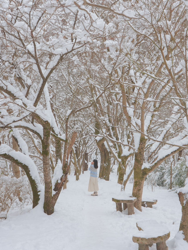 진짜 등산 1도 없이 만날 수 있는 눈 내린 겨울 설산🏔️❄