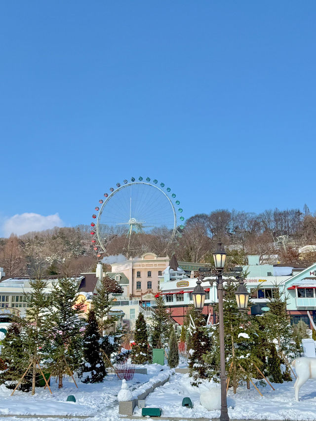 겨울에 에버랜드를 가야하는 이유 - ❄️
