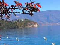 瀘沽湖網美海景度假酒店：安下•山與 LuGuhu Anxia Mountain Resort Hotel