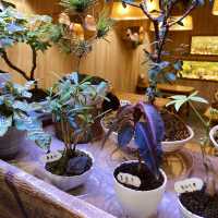 走進 Wooderful life療癒系木作世界