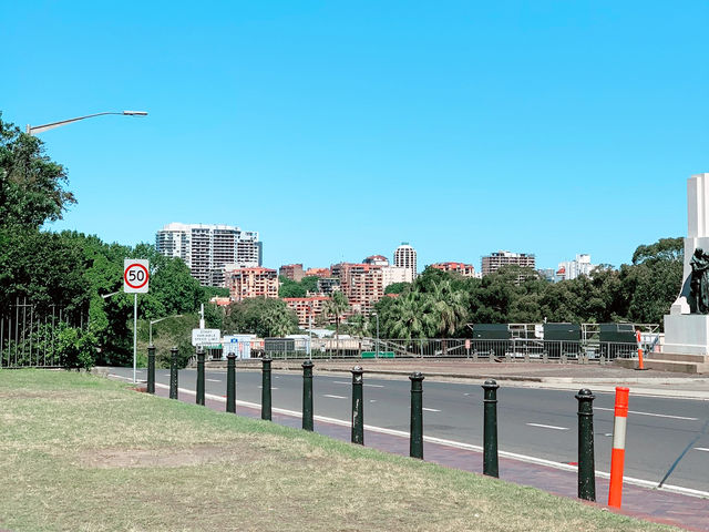 From Greenery to History: A Walk to State Library of NSW