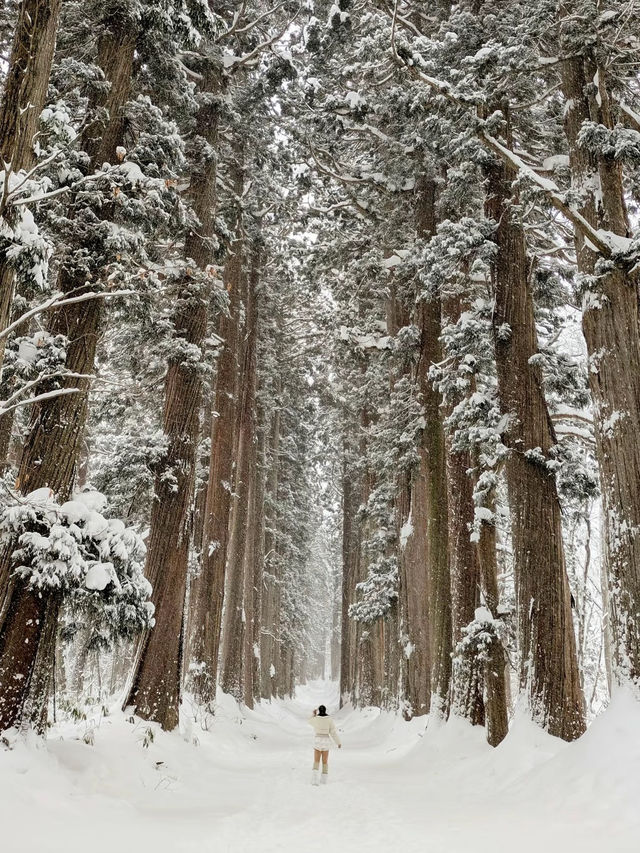 [長野]冬の戸隠神社に行ったらやるべき3つのこと❄️
