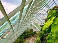 A Breathtaking Oasis: Gardens by the Bay