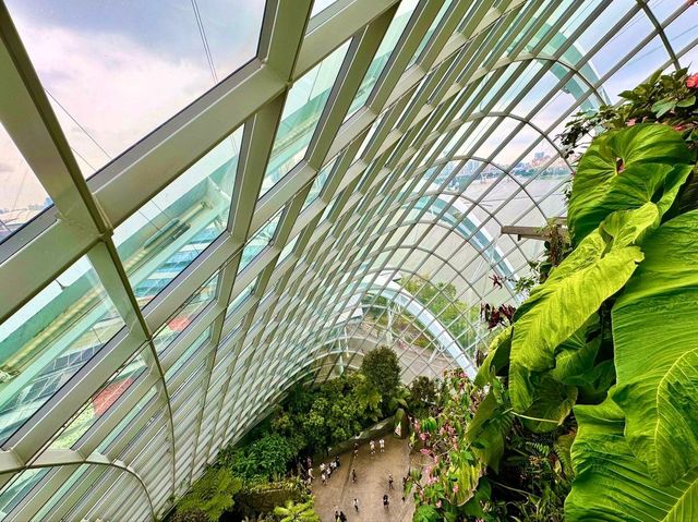 A Breathtaking Oasis: Gardens by the Bay