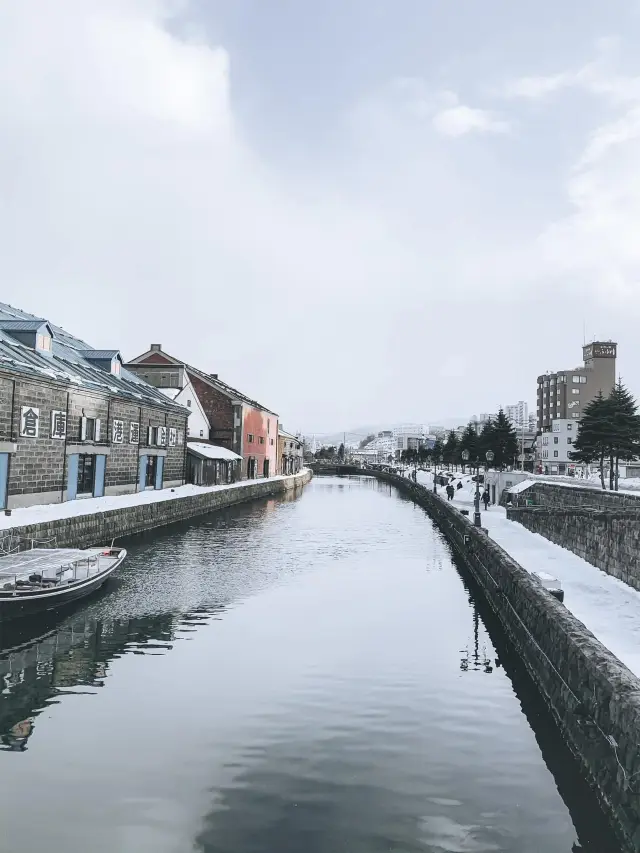 2 Days in Sapporo: A Winter Wonderland Adventure