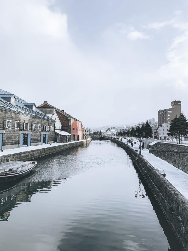 2 Days in Sapporo: A Winter Wonderland Adventure