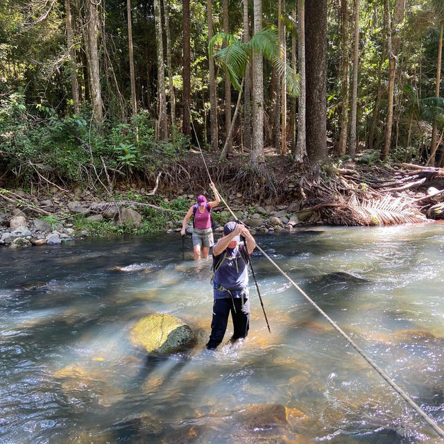 Lamington National Park: A Trekker's Paradise