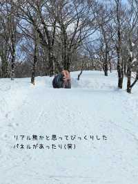 【岐阜／郡上】穴場のスキー場「ホワイトピアたかす」⁡