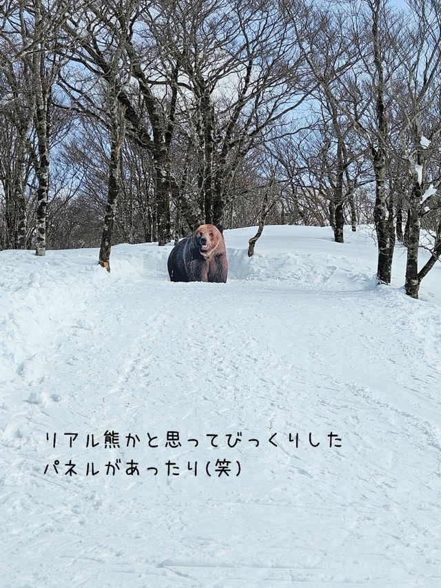 【岐阜／郡上】穴場のスキー場「ホワイトピアたかす」⁡