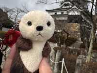 「名古屋6日全攻略！神社巡禮×水族館×古城美景，一次玩遍必去景點！」