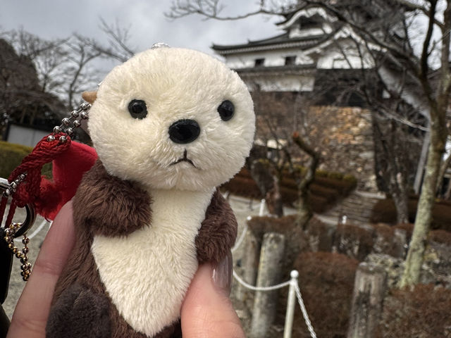 「名古屋6日全攻略！神社巡禮×水族館×古城美景，一次玩遍必去景點！」