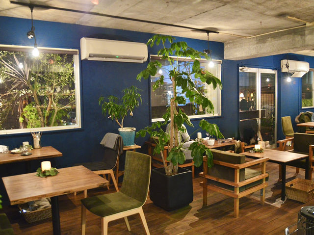 Delicious Baked Cheesecake at Cafe Hakuta
