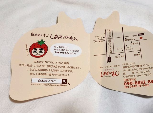 福岡！不用自駕，也能輕輕鬆鬆摘士多啤梨！
