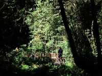 พาไปศึกษาธรรมชาติกันที่ 🌳 กิ่วแม่ปาน