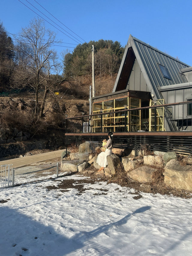 강아지와 함께 겨울 여행은 평창으로 가세요❄️