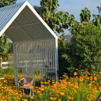Flower House Cafe'